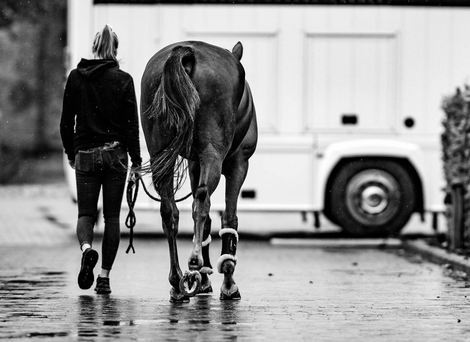 Longines World’s Best Racehorse