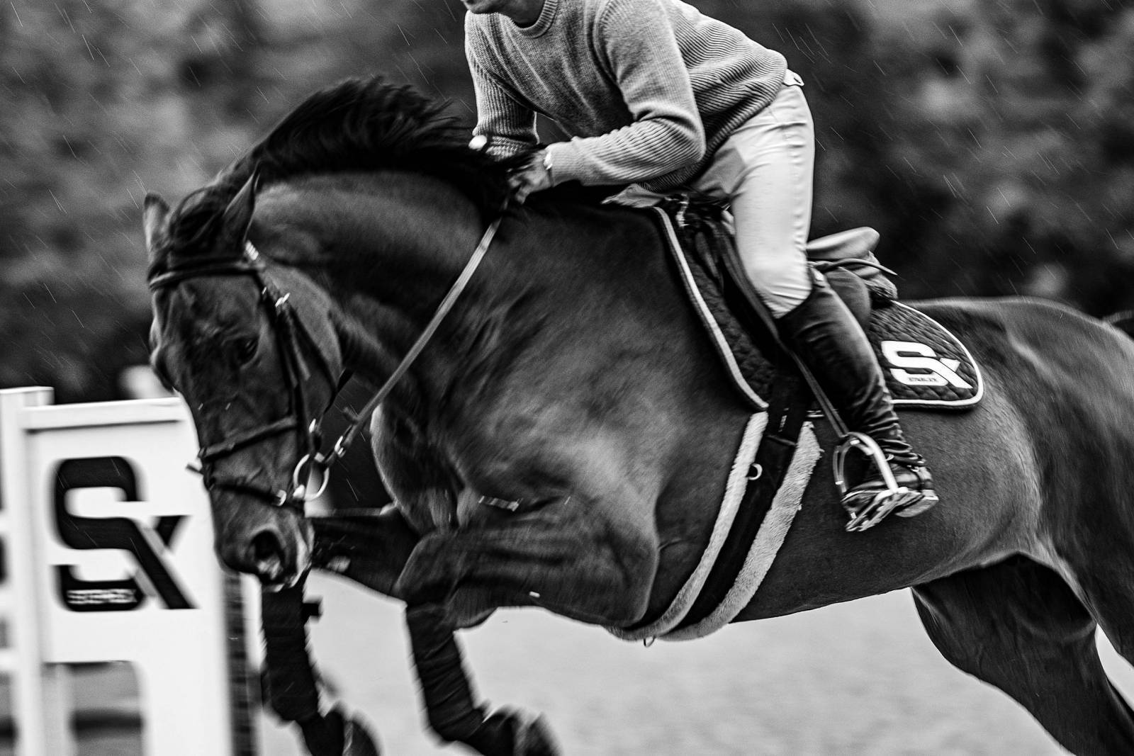 Longines World’s Best Racehorse