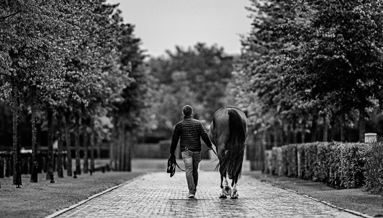 Longines World’s Best Racehorse